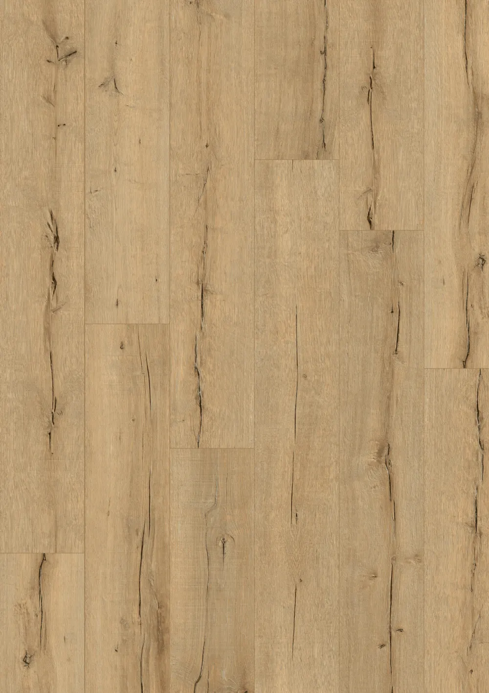 Eik Oud Hout Natuur