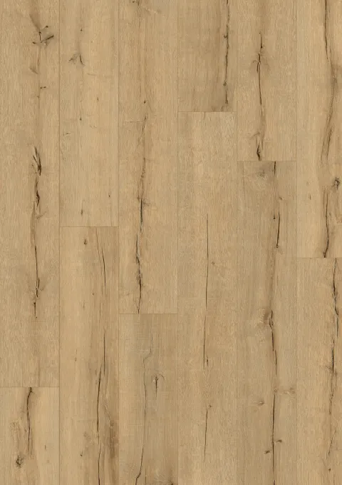 Eik Oud Hout Natuur
