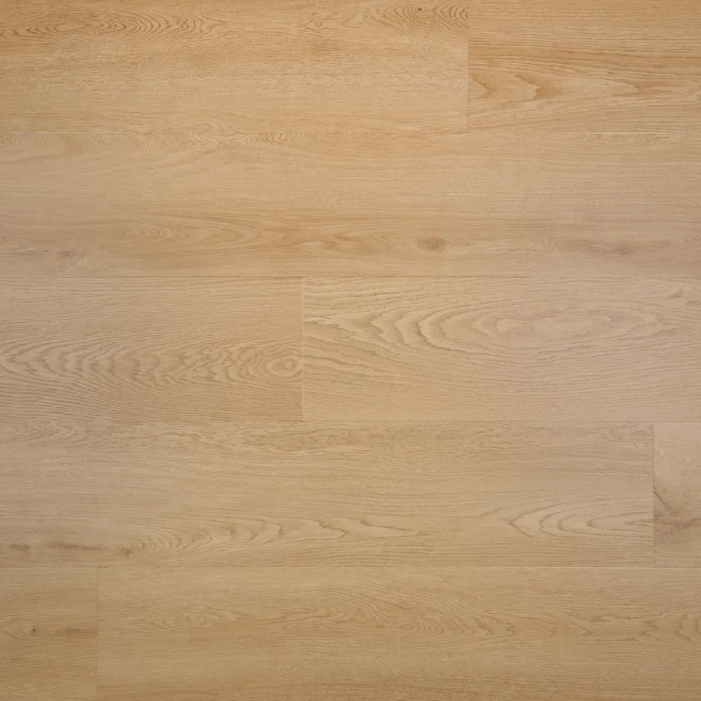 Joy plank Dryback UM