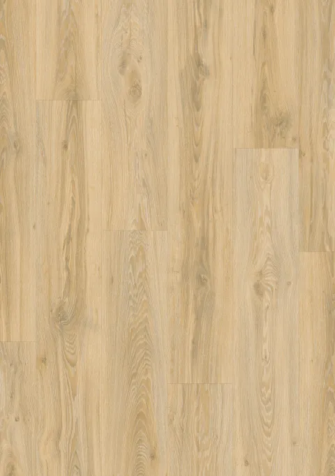 Roots Blackjack Oak 22220