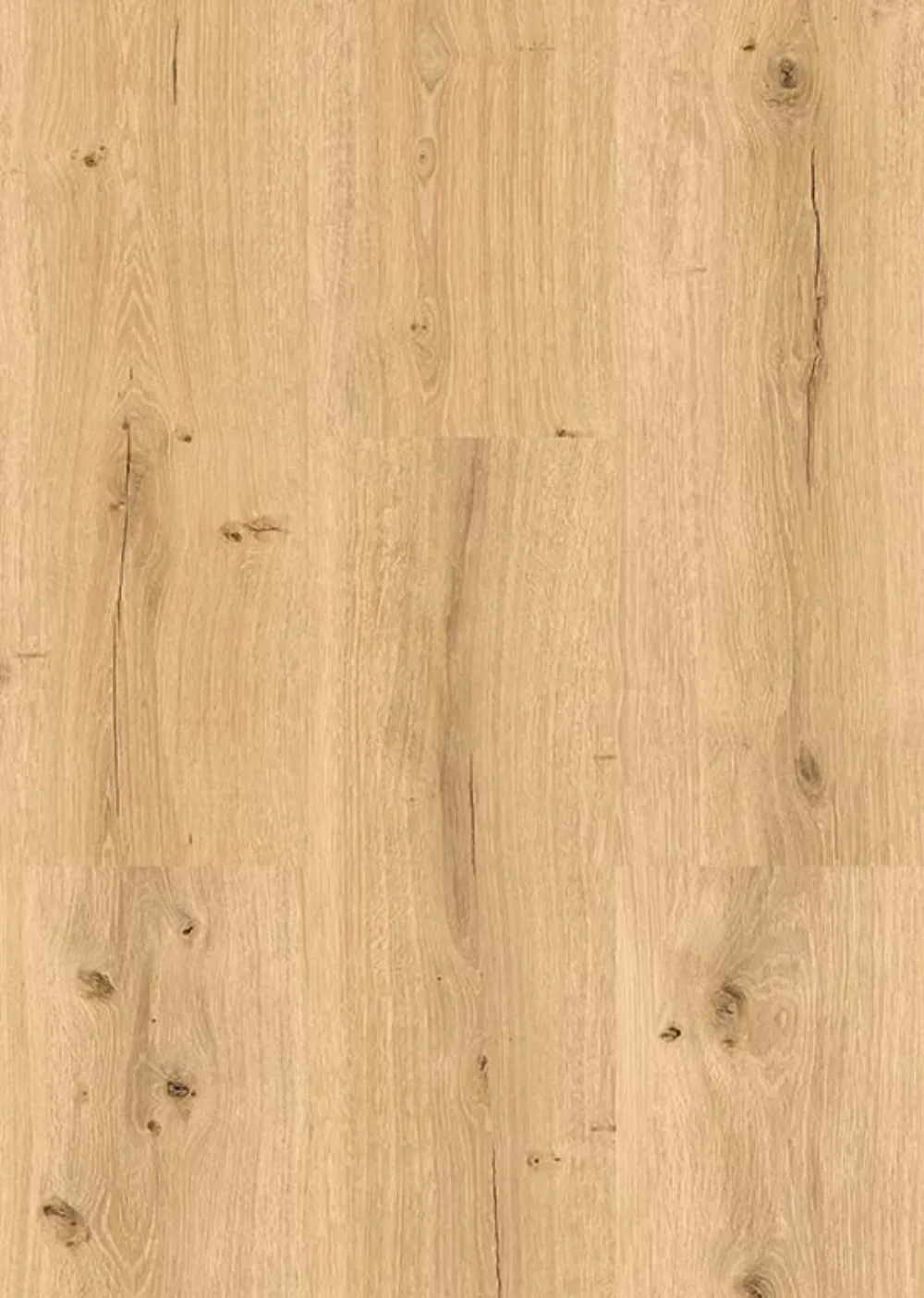 PVC plak Citta Padova