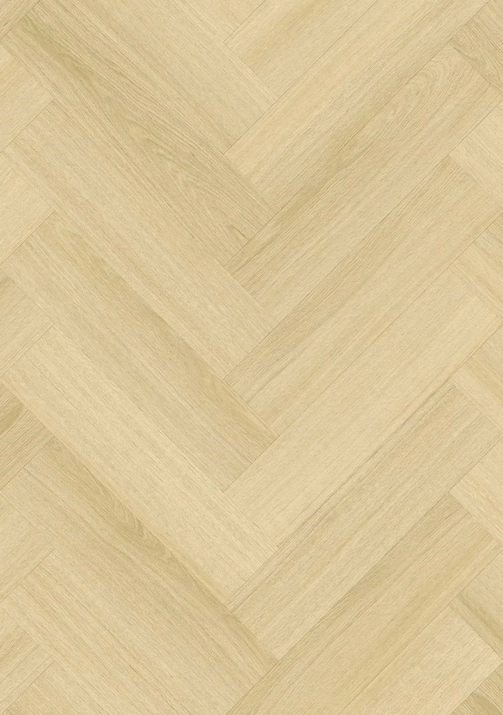 Roots 0,55 HB Glyde Oak 22221Y